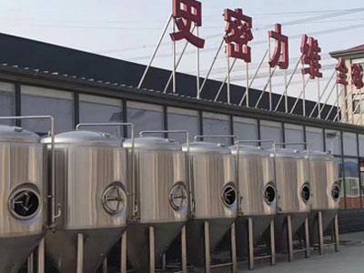 峨蔓镇精酿啤酒设备厂—如何判断精酿啤酒设备的密封件需要更换？